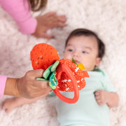 Baby Sensory Play Gift Bundle D2