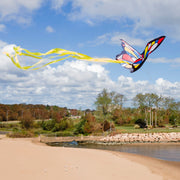 Beautiful Butterfly Kite B8