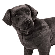 Black Lab Giant Stuffed Animal E8