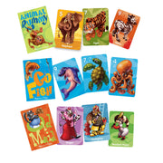 Classic Card Game Set F7