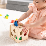 Classic Rainbow Learning Toys H6