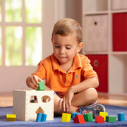 Classic Rainbow Learning Toys H6