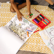 Coloring Pad 3-Pack: Animals, Vehicles, Multi-Theme B2