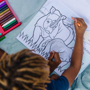 Coloring Pad 3-Pack: Animals, Vehicles, Multi-Theme B2