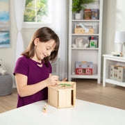 Created by Me! Birdhouse Wooden Craft Kit S5