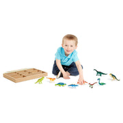 Dinosaur Party Play Set W8