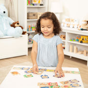 Early Learning Puzzle Bundle F6