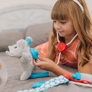 Examine & Treat Pet Vet Play Set K6
