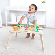 Farmers Market 3 in 1 Activity Center T2