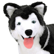 Husky Giant Stuffed Animal Z3