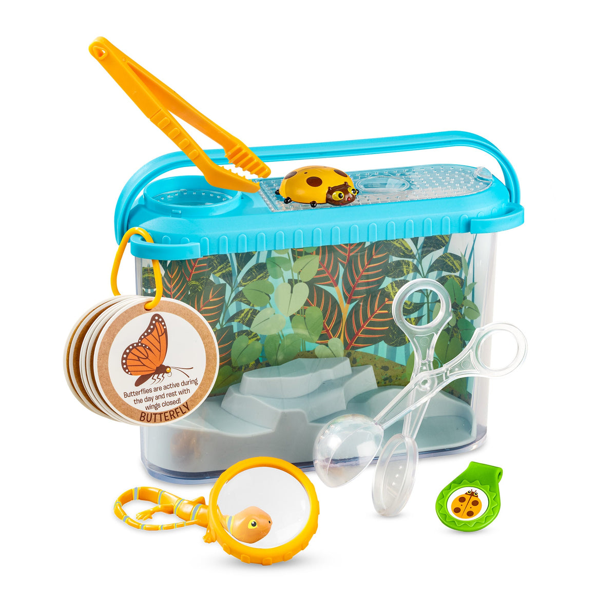 Let’s Explore Terrarium Observations Play Set B6