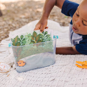 Let’s Explore Terrarium Observations Play Set P8