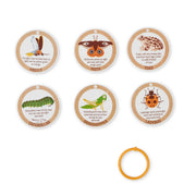 Let’s Explore Terrarium Observations Play Set P8