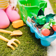 Let’s Explore Vegetable Gardening Play Set I5