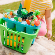Let’s Explore Vegetable Gardening Play Set I5