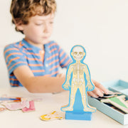 Magnetic Human Body Play Set B6