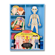 Magnetic Human Body Play Set B6