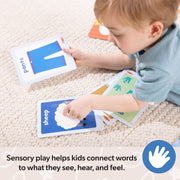 Ms. Rachel™ First Words Sensory Cards M3