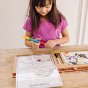 Natural Play: Play, Draw, Create Reusable Drawing & Magnet Kit – Dinosaurs G6