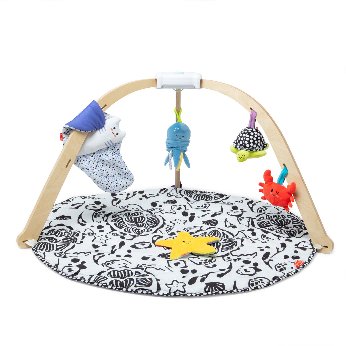 Ocean Easy-Fold Play Gym L5