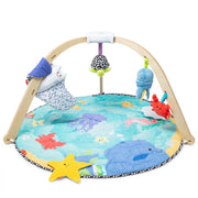 Ocean Easy-Fold Play Gym X2