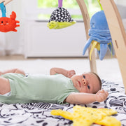 Ocean Easy-Fold Play Gym X2