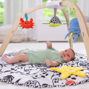 Ocean Easy-Fold Play Gym X2