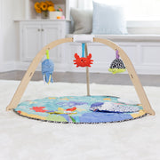 Ocean Easy-Fold Play Gym X2