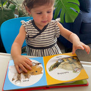 Poke-a-Dot: Pet Families Board Book G8