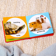 Poke-a-Dot: Pet Families Board Book G8