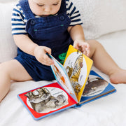 Poke-a-Dot: Wild Animal Families Board Book K5