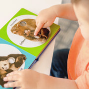 Poke-a-Dot: Wild Animal Families Board Book V5