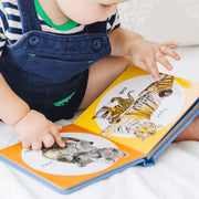 Poke-a-Dot: Wild Animal Families Board Book V5