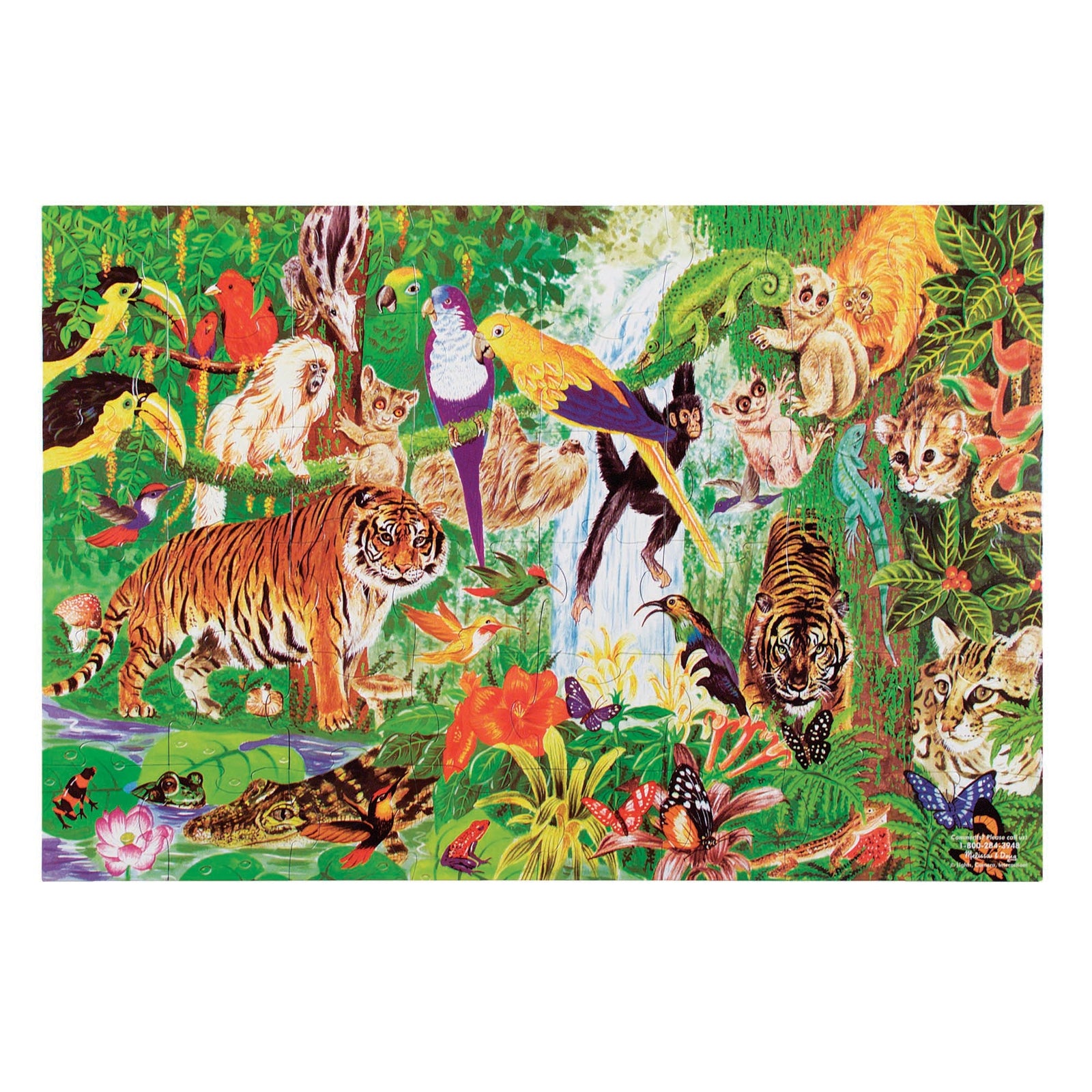 Rainforest Floor Puzzle - 48 Pieces F4