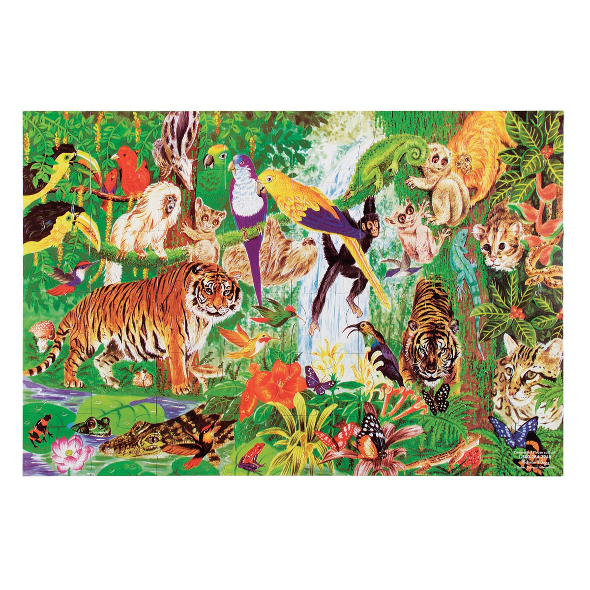 Rainforest Floor Puzzle - 48 Pieces U8