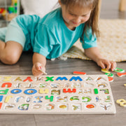 Upper & Lower Case Alphabet Puzzle D9