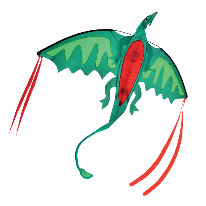 Winged Dragon Shaped Kite F1
