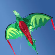Winged Dragon Shaped Kite I6