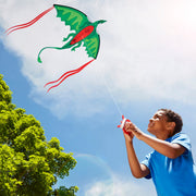 Winged Dragon Shaped Kite I6